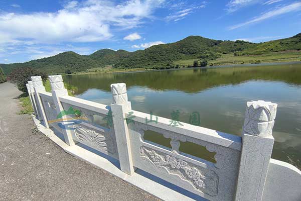 沈阳青云山公墓，感受时光沉淀，致敬生命永恒之美