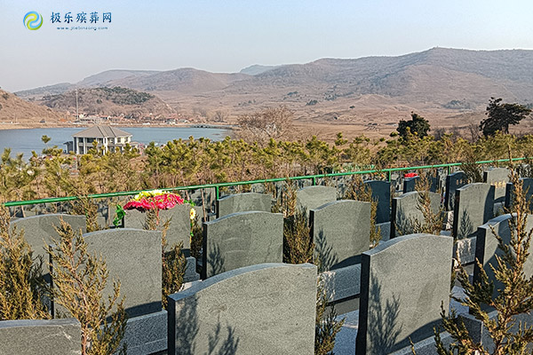 沈阳陵园使用权面积20年的标准是哪一年实施的？政策背景与实施时间解析