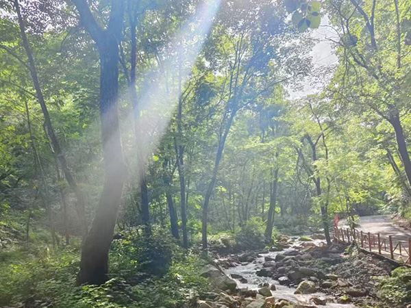 沉静而宁谧，悼念与纪念的圣地——沈阳青云山墓地